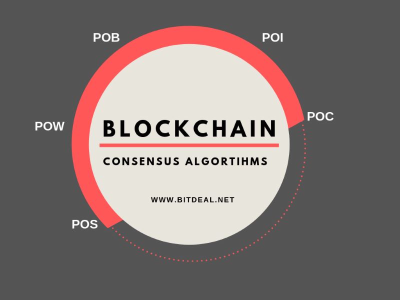 Blockchain Consensus