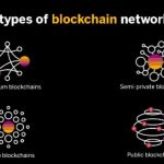 Network Architecture