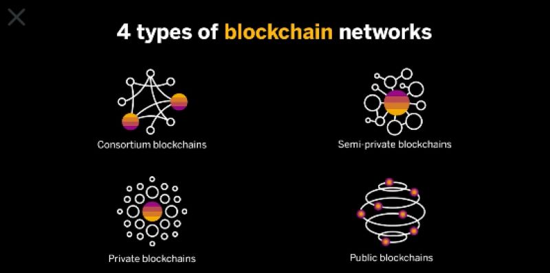 Network Architecture