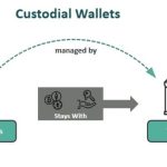 Custodial vs Non-Custodial Wallets: Unveiling the Best Choice for Your Crypto 8 Custodial vs Non-Custodial Wallets:
