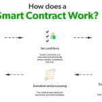 How does the smart contracts work?